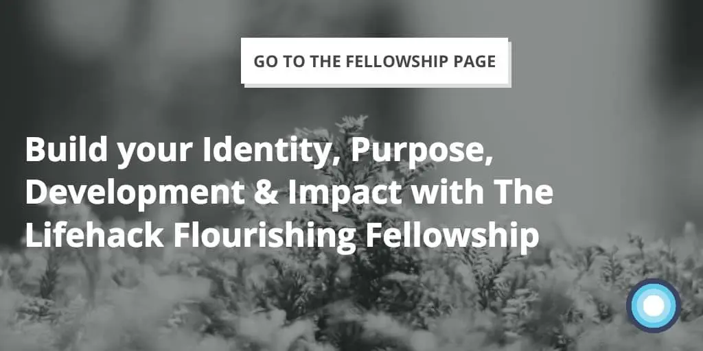 Identity, Purpose, Development, Impact - Lifehack Flourishing Fellowship