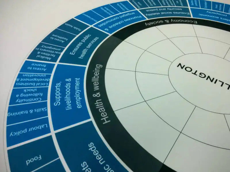 Resilience Framework from 100 Resilient Cities