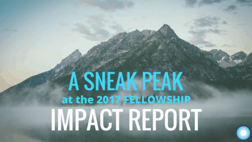 Sneak peak at FF impact report